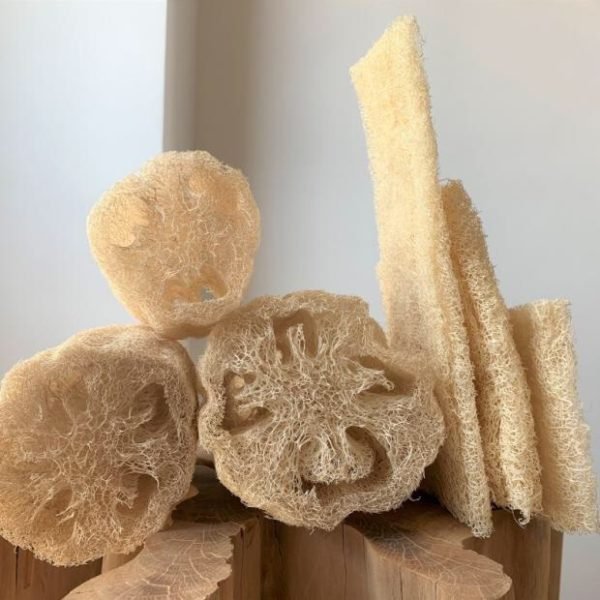 Éponge végétale Loofah - 25 cm – Image 2