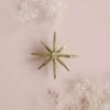 Clou Constellation