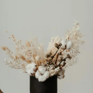 Plantes et Fleurs