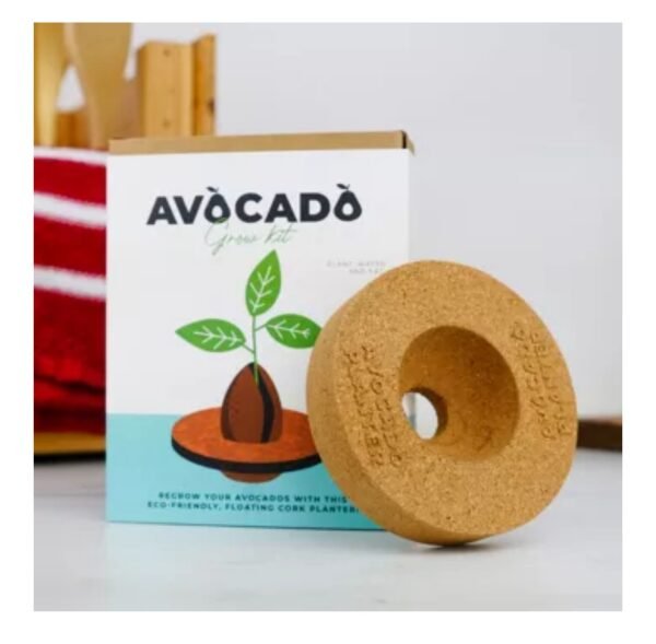 Kit de plantation d'avocat