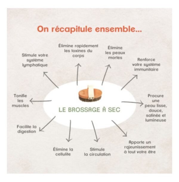 Brosse Massage en crin – Image 2