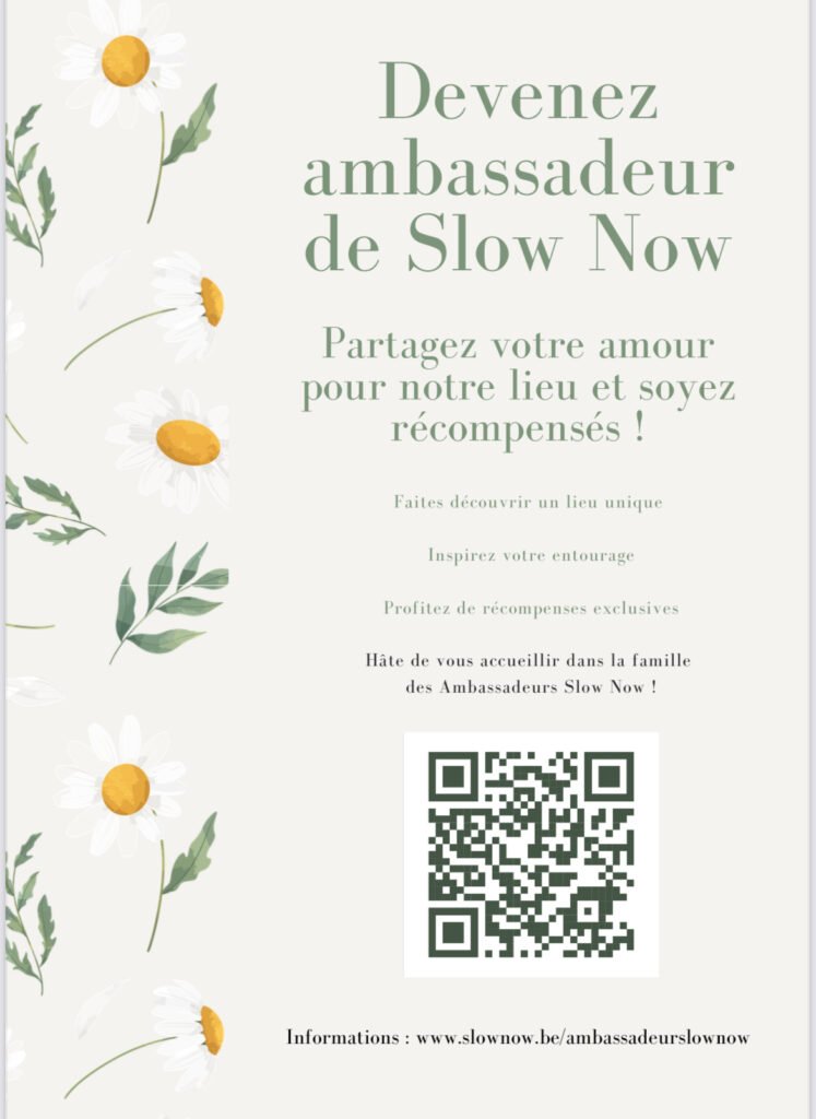 Ambassadeur Slow Now