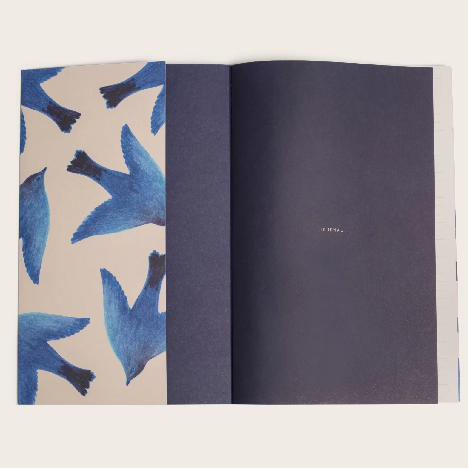 Journal L’oiseau – Image 3