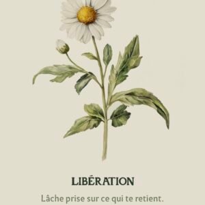 Carte Libération
