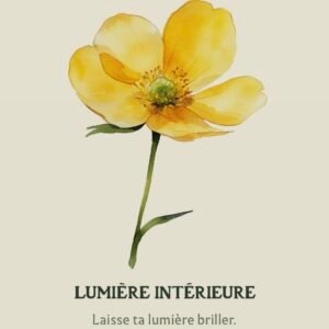 Carte Lumière Intérieure