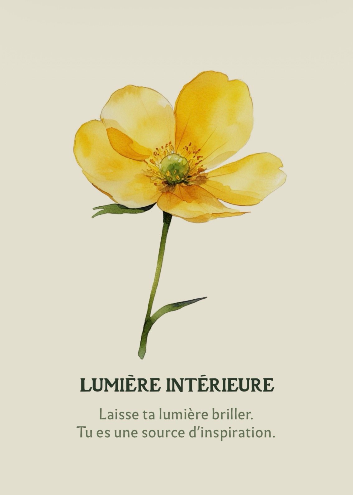 Carte Lumière Intérieure