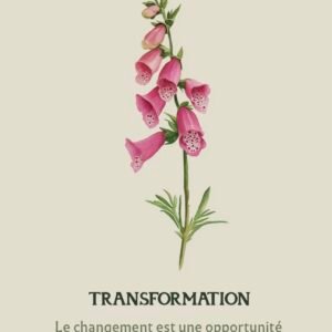 Carte Transformation