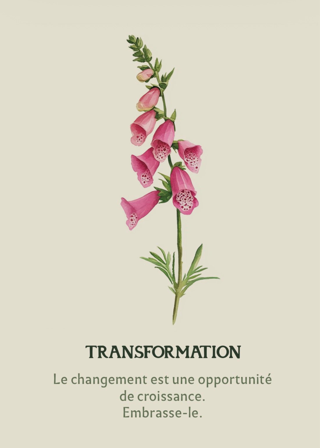 Carte Transformation