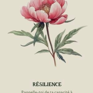 Carte Résilience