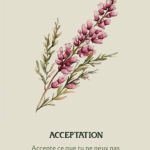 Carte Acceptation