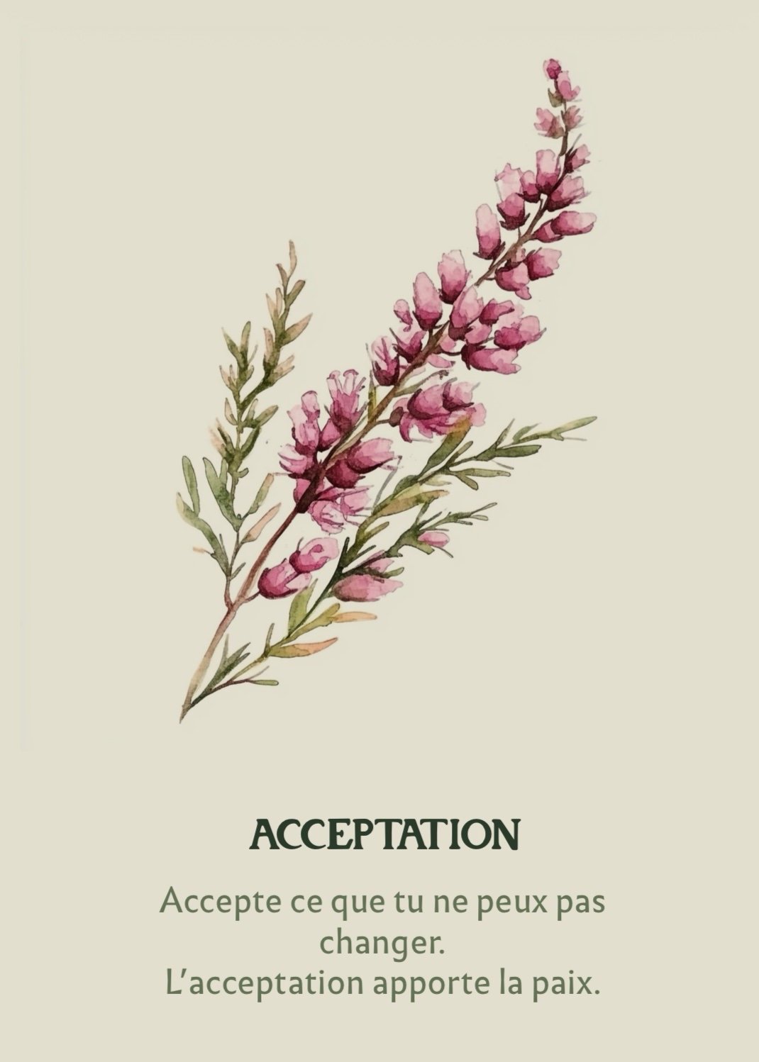 Carte Acceptation
