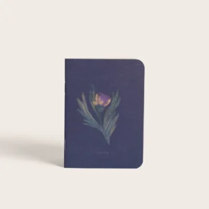 Carnet de poche Alba