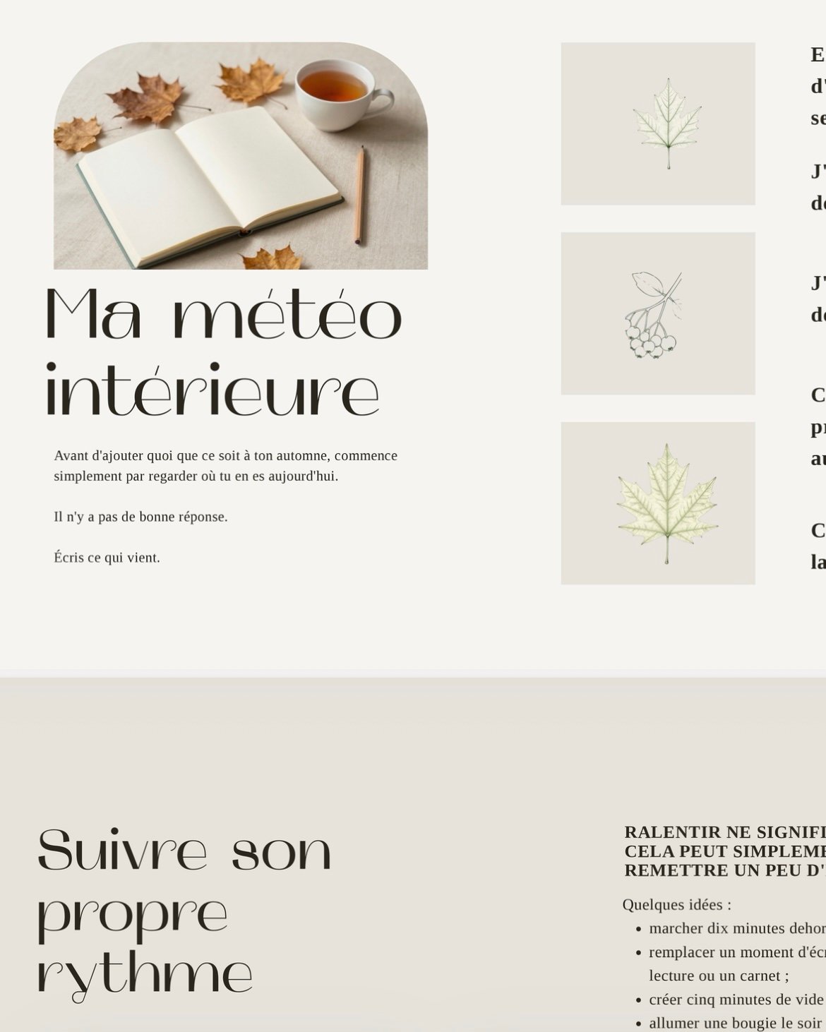Carnet Un automne pour soi – Image 2