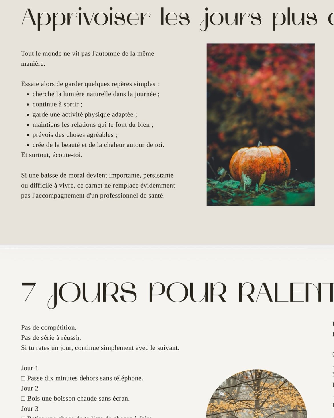 Carnet Un automne pour soi – Image 5